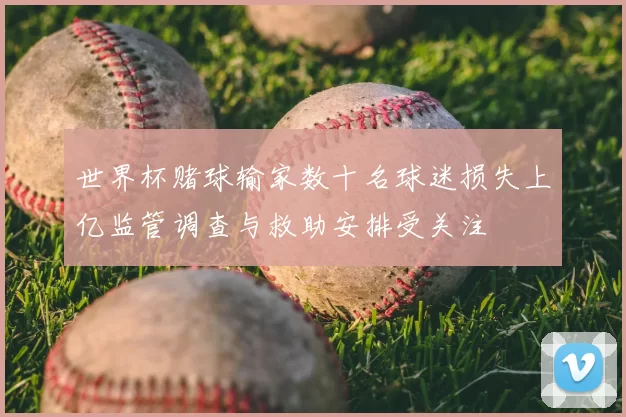 世界杯赌球输家数十名球迷损失上亿监管调查与救助安排受关注