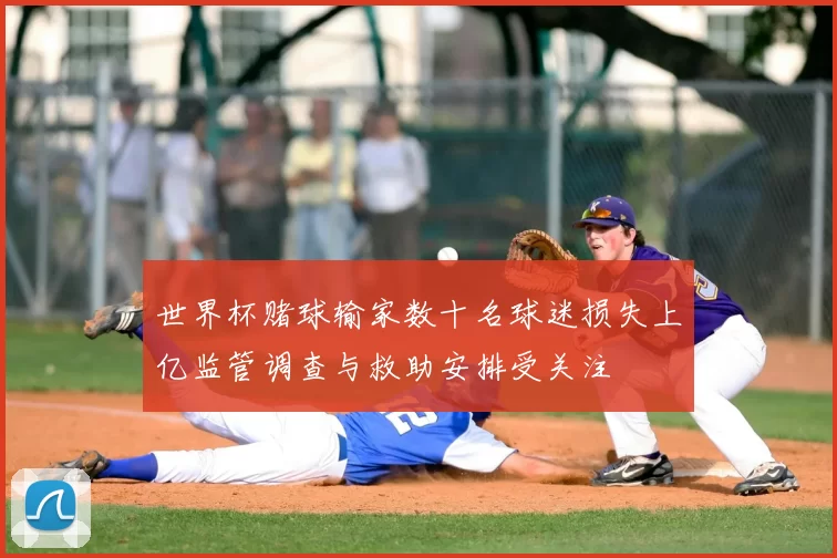 世界杯赌球输家数十名球迷损失上亿监管调查与救助安排受关注